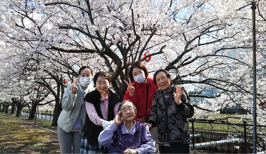 春をさがしに、ちょっとそこまで　『お花見ドライブ』♪